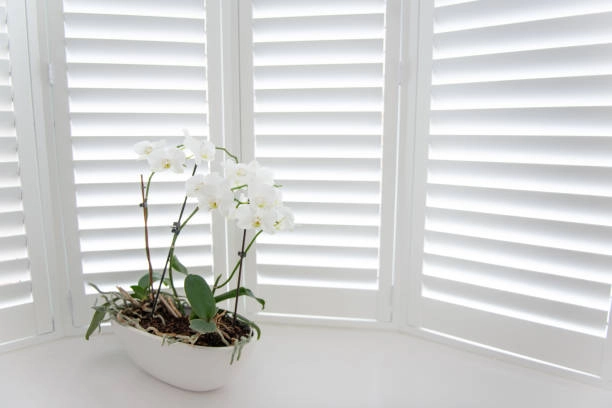 How To Maintain Shutters For Lasting Beauty And Functionality in Martinez, GA