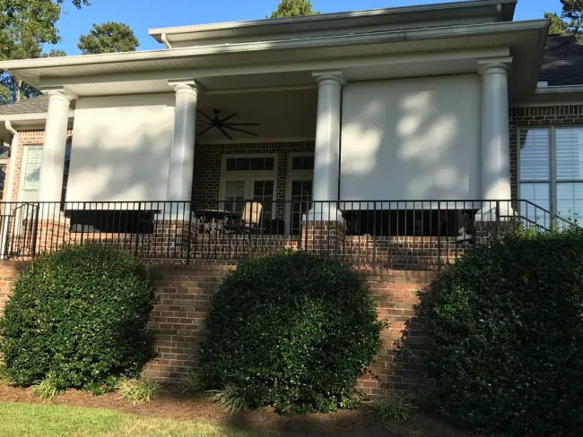 Professional Window Treatment Services